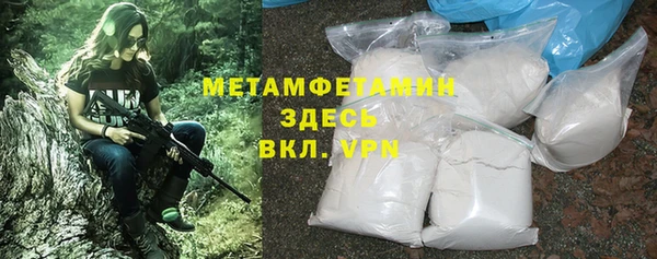 прущие грибы Гусь-Хрустальный