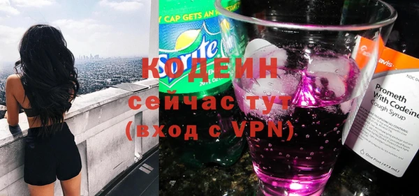 прущие грибы Гусь-Хрустальный