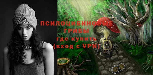 прущие грибы Гусь-Хрустальный