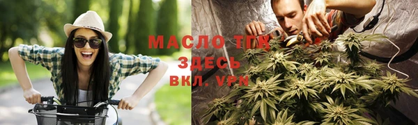мет Гусев