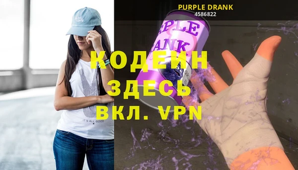 прущие грибы Гусь-Хрустальный